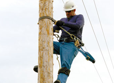 Traçados Telefónicos e de Electricidade Madeiras e Paus tratados